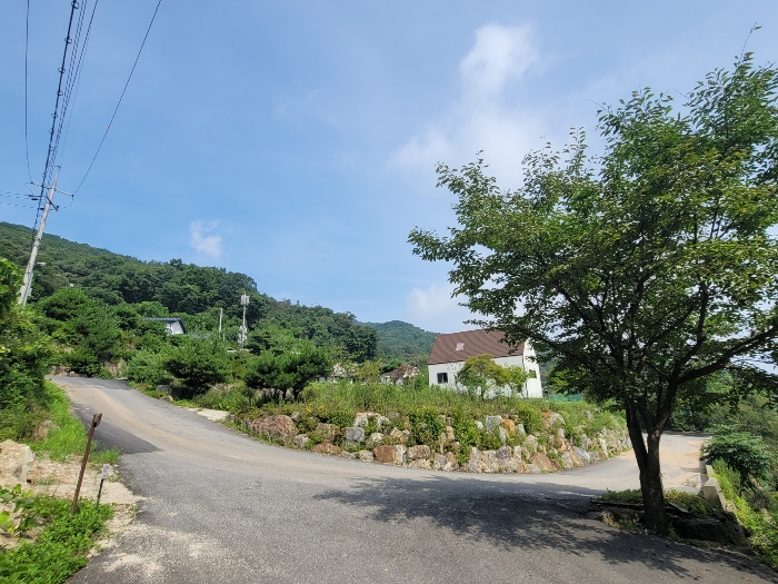 일련번호 15), 17)