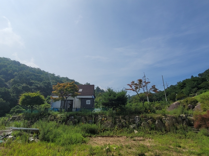 일련번호 2), 3), 4)