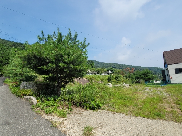 일련번호 16)