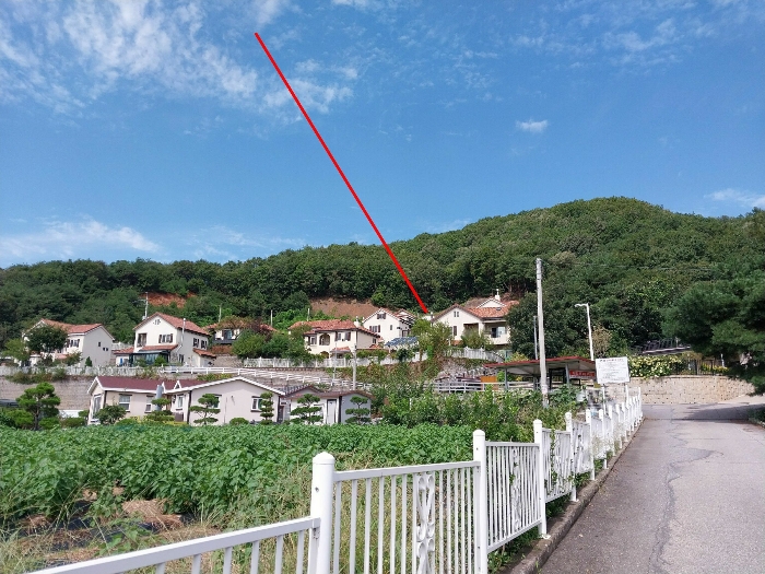 남동측 근거리에서 촬영