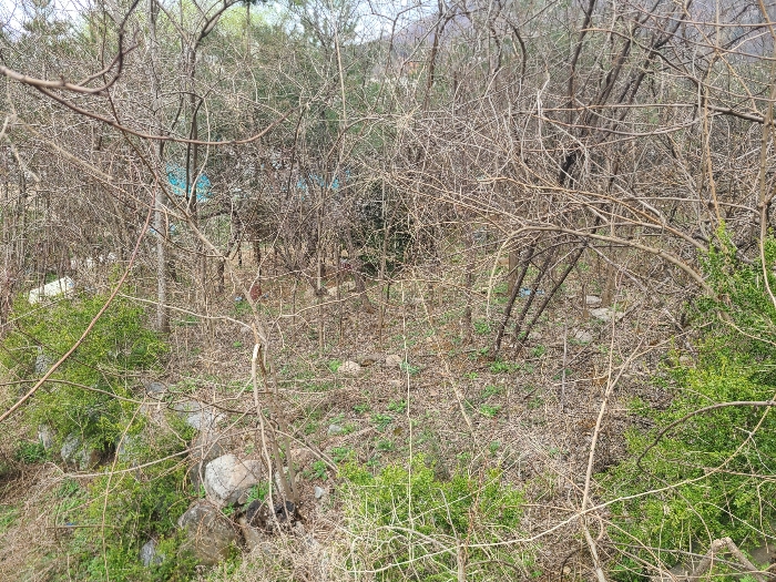 기호2 토지 전경