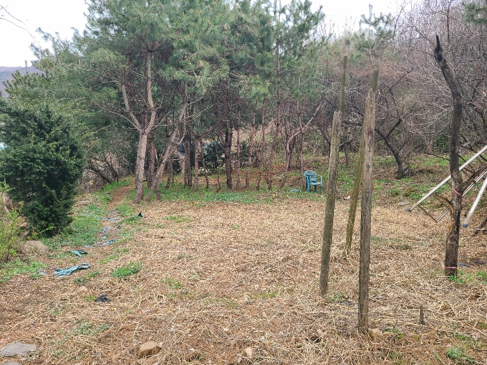 기호3 토지 전경