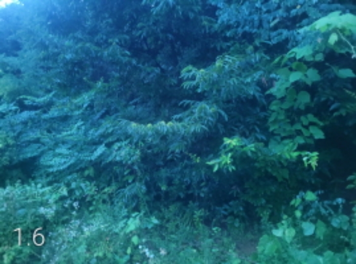 목록1.6.