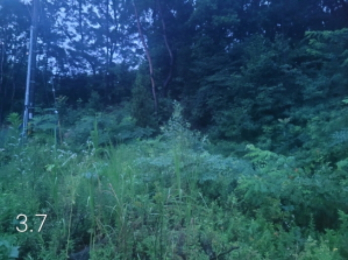 목록3.7.