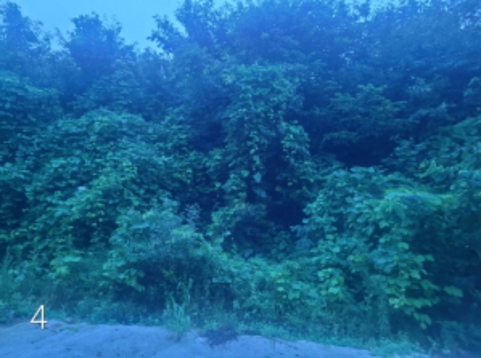 목록4.