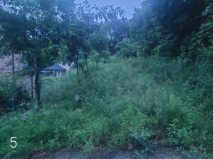목록5.