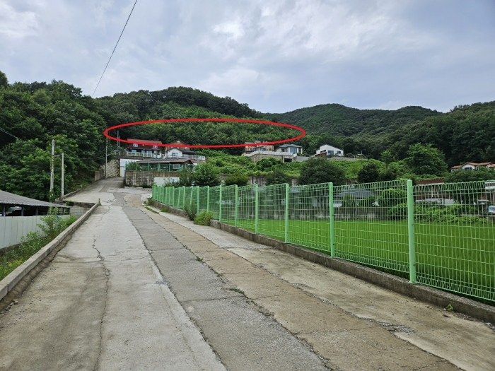 2024타경3010