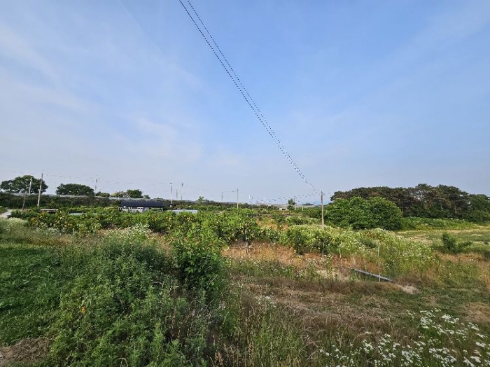 제시 목록 1 전경