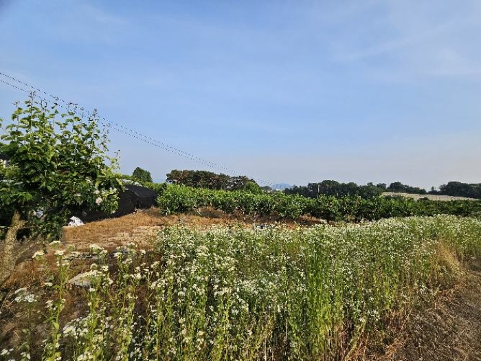 제시 목록 2 전경