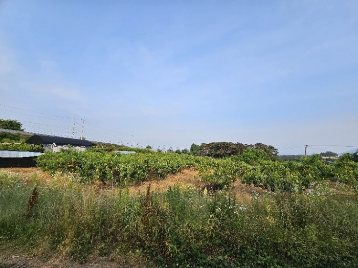 제시 목록 2 전경