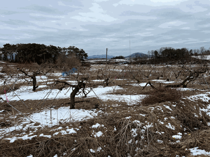 <기호(1)토지 북측에서 촬영>