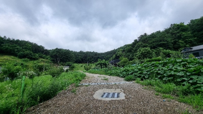 2024타경3669
