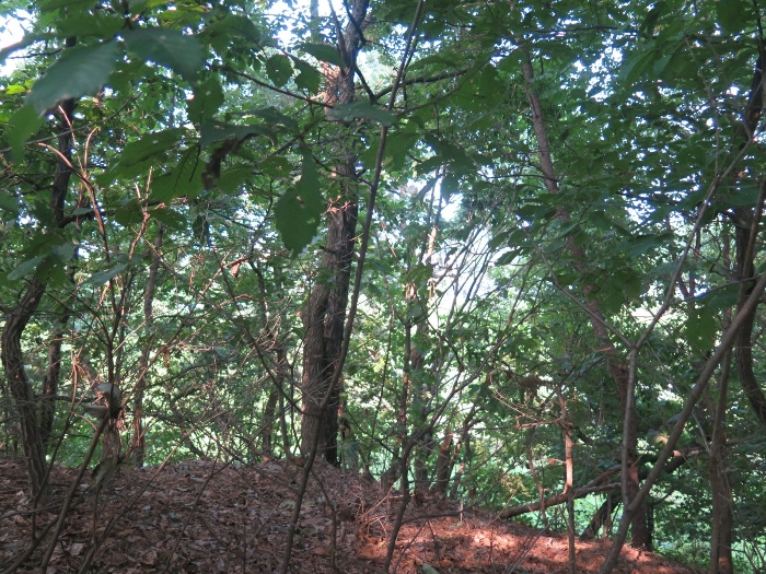 본건 내부전경