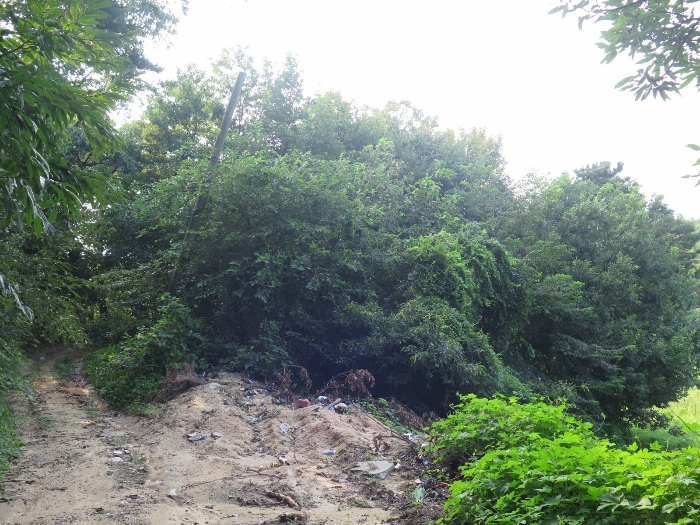 본건전경(본건 동측 인근에서 촬영)