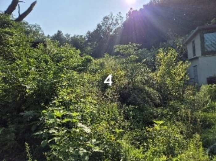 목록 4