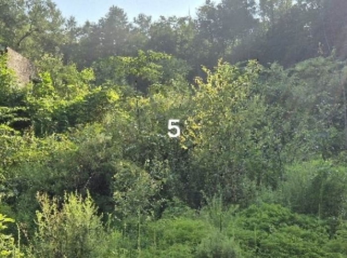 목록 5