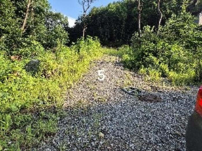 목록 5