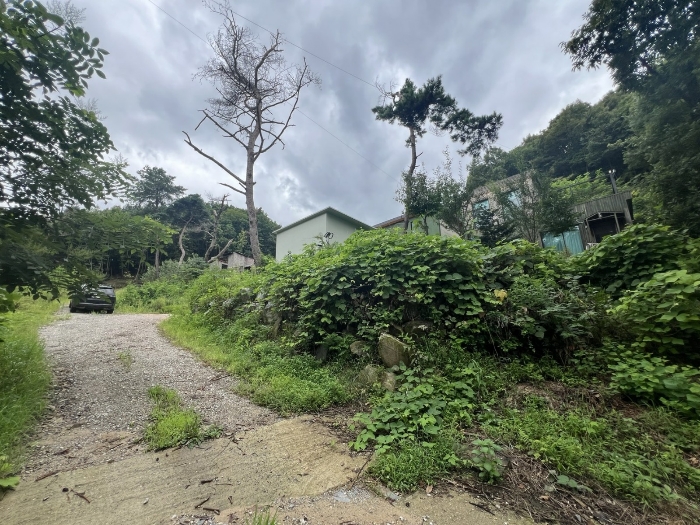 본건 전경(북동측에서 촬영)