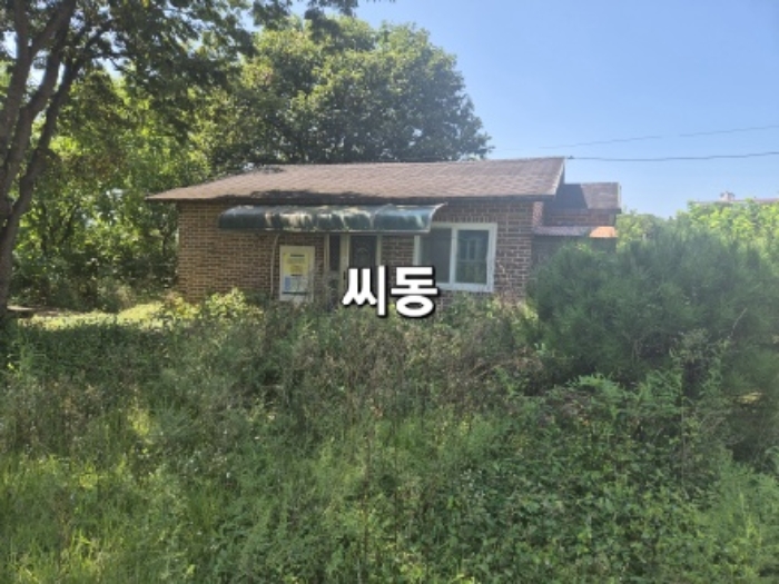 목록 2 씨동