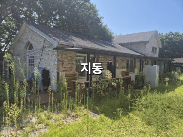 목록 5 지동