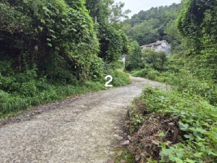 목록 2