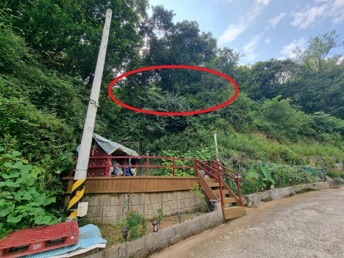 기호(1) 토지