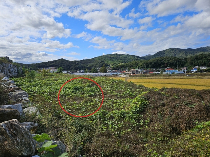 <기호1 본건전경>