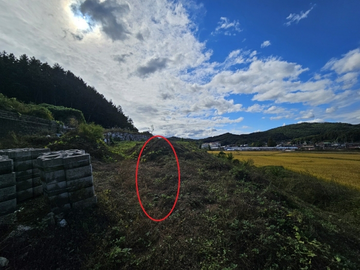 <기호1 본건전경>