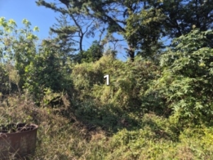 목록 1