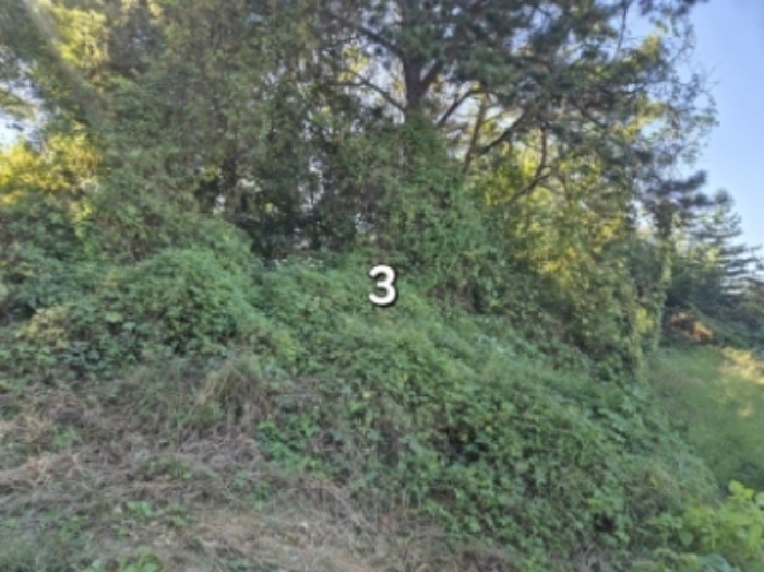 목록 3