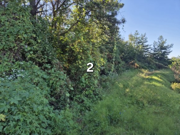 목록 2