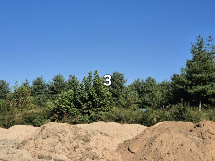 목록 3