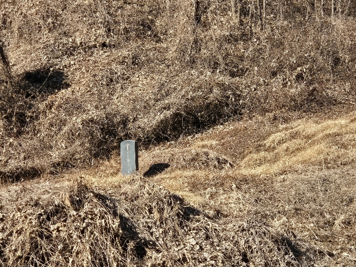 기호(4) 지상의 묘지