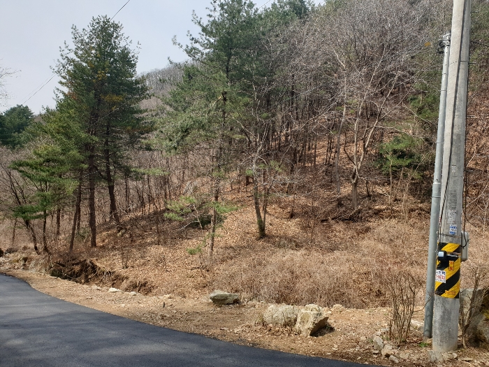 본건 전경(남동측에서 촬영)