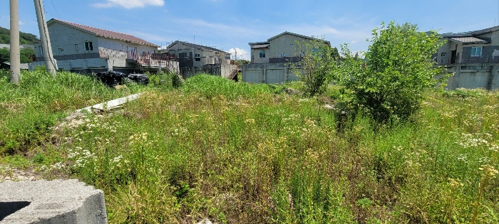 기호29