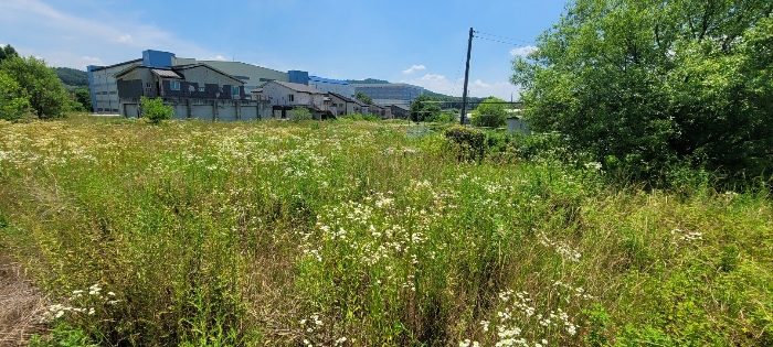 기호20