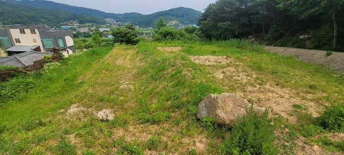 본건 현황
