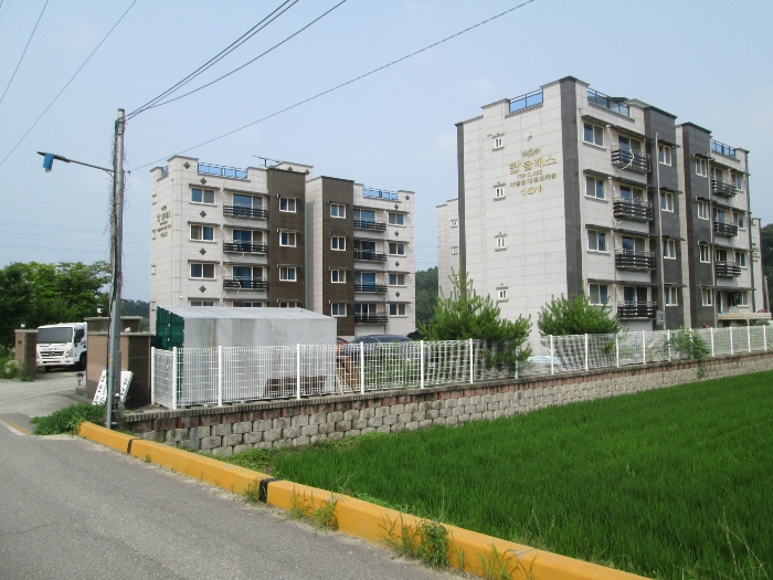 단지 전경