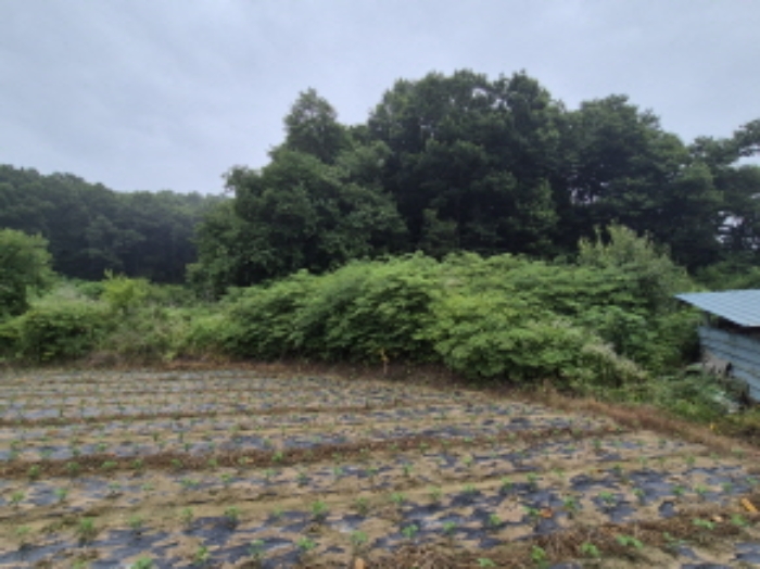 목록 1.