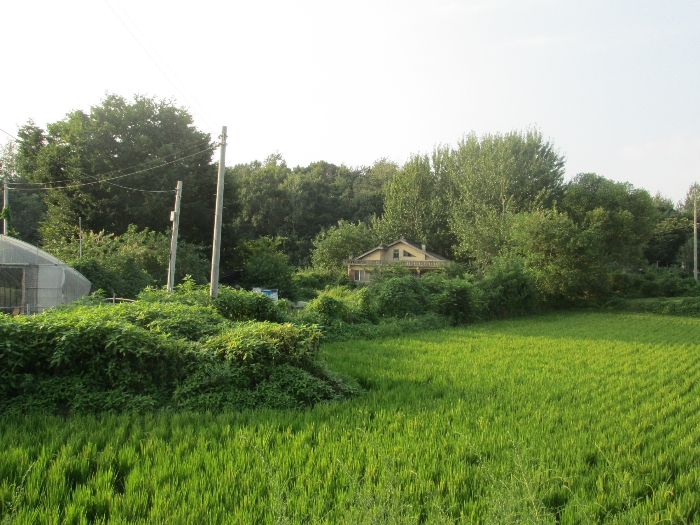 부근상황 및 전경