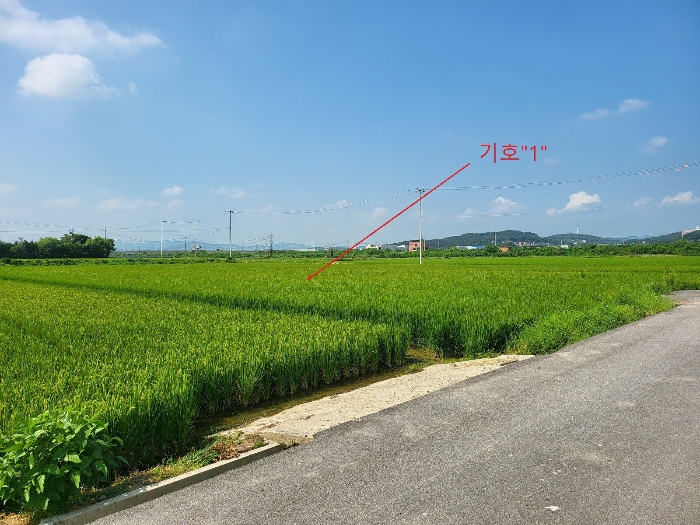 2024타경37815