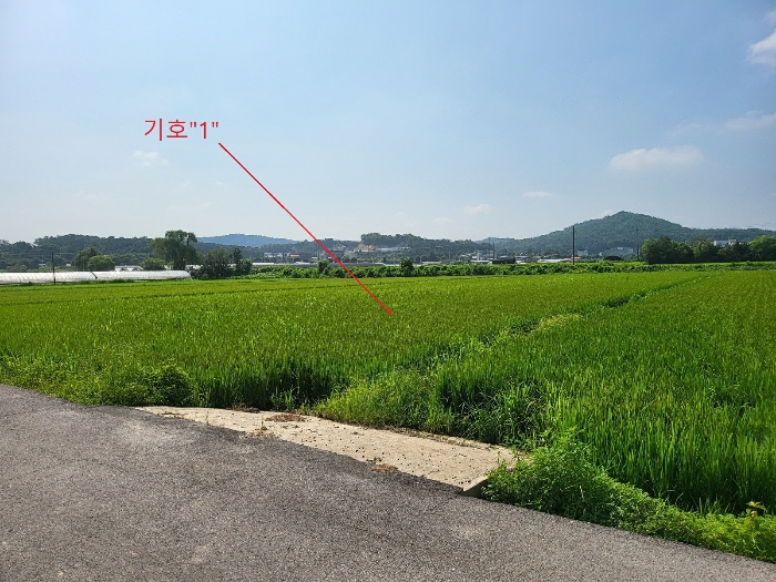 2024타경37815