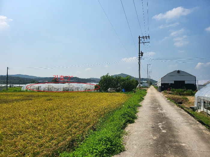 2024타경37815