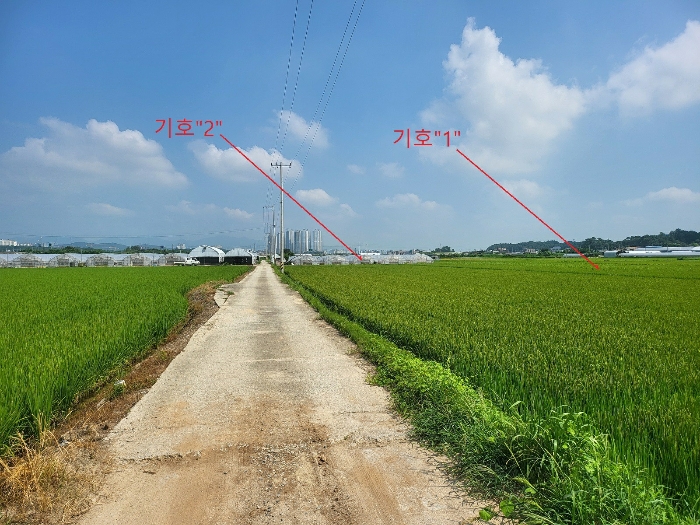 2024타경37815