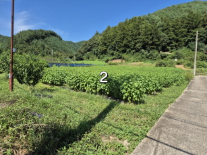 목록 2