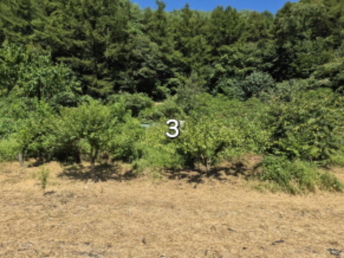 목록 3