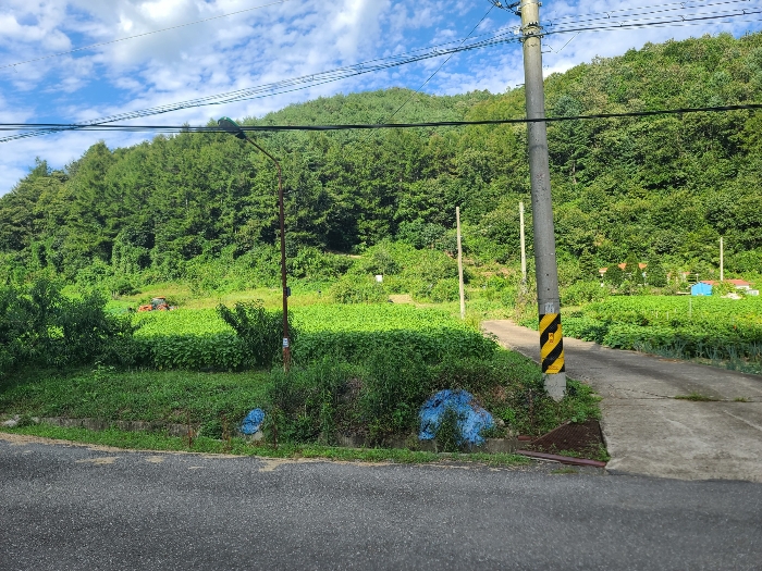 기호(2)토지 전경