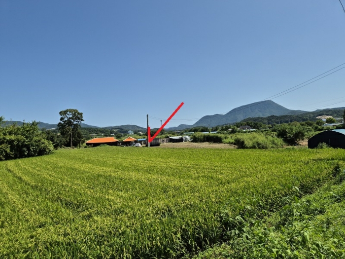 주 변 환 경