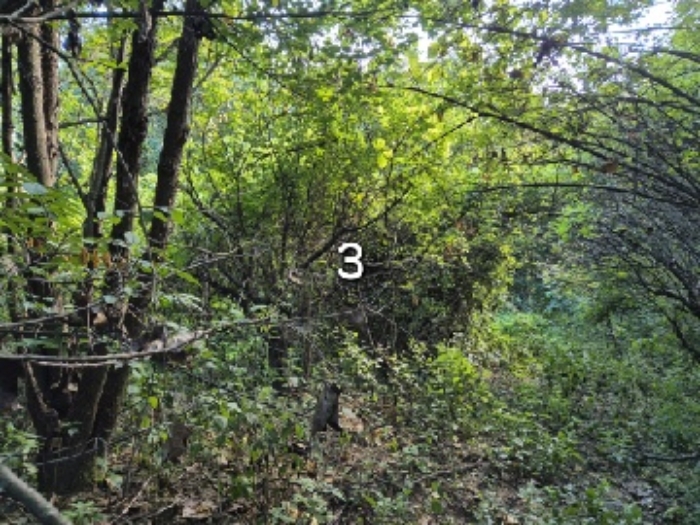 목록 3