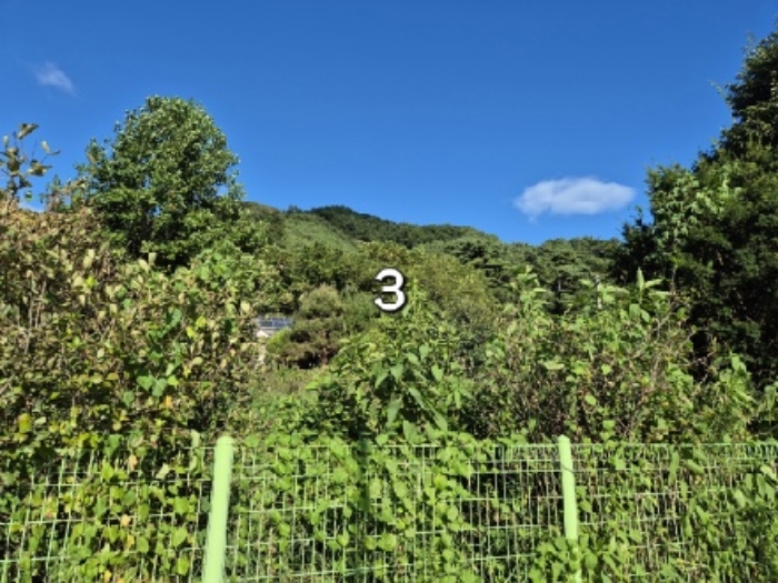 목록 3